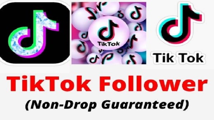 5183provide 2000 TikTok Followers with a Money-back guarantee.