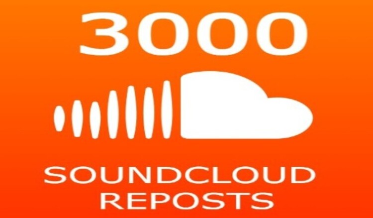 6667Add you 3000 SoundCloud likes instant start