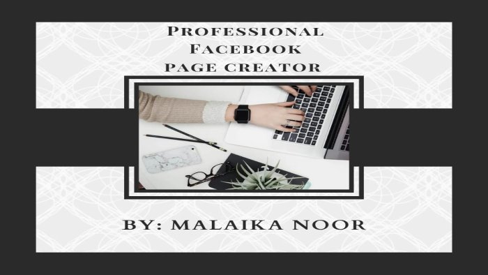 316753Facebook Page Creation