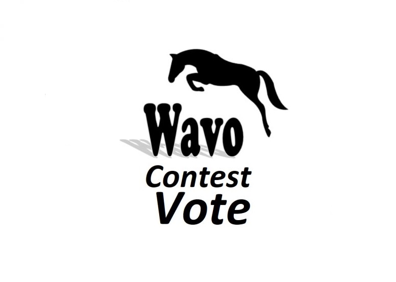 Get offer 40 wavo votes for your WAVO. ME Contest