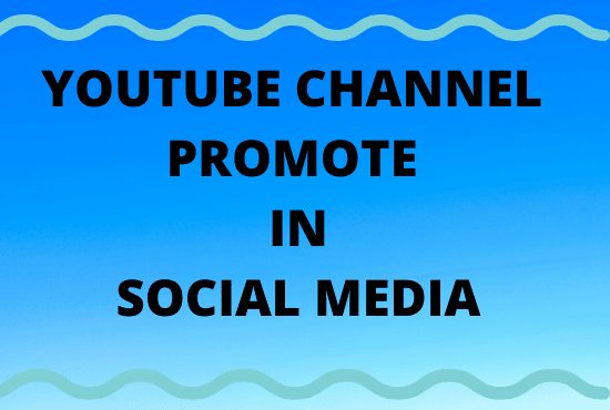 I can promote your youtube channel in social media