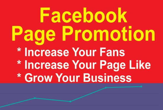 I will do organic facebook promotion in 24 hour