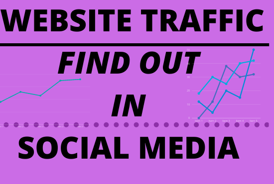 I will marketing for find out website traffic