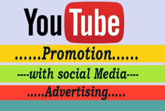 I will do youtube promotion with social media advertise increase audience