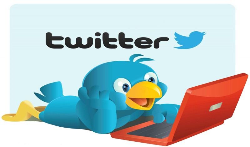 I will add you +400 TWITTER organic targeted followers from advertising campaigns to your account in less than 24h