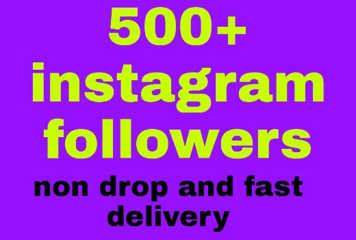 500 Instagram followers all are non drop