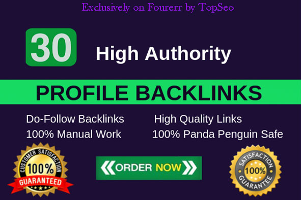 High Quality Top Ranker 30 PR9-7 Profile Backlinks permanent seo  service 2021