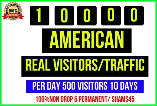Get 10,000+ American Web Traffic, Per day 500 traffic -20 days