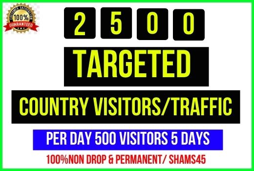 Get 2500+ Targeted Country Web Traffic, Per day 500 traffic -5 days