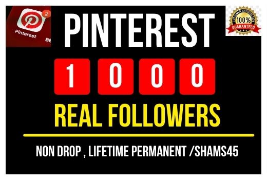 I Will Provide 1000+ Pinterest Real Followers , all are Non drop and lifetime permanent
