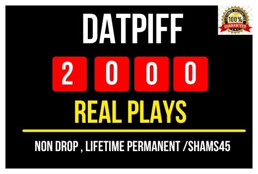 I will provide 2000+ Datpiff Plays , all are real and non drop plays