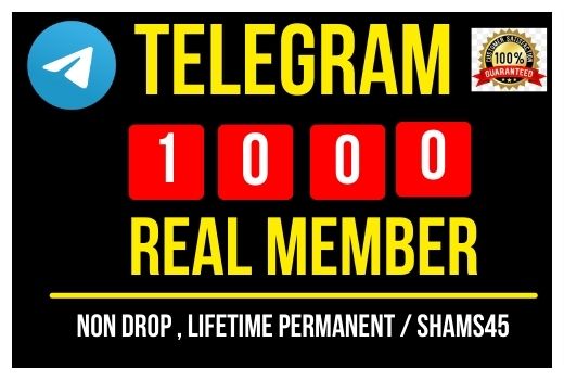 I will provide 2000+ Telegram public channel member Instant , Real, Non drop and permanent