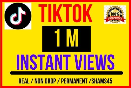 I will give 1M + TikTok Video Views , Instant start , Non drop and Lifetime permanent