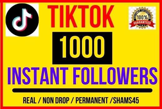 I will give 1000 + TikTok Real followers, Instant start , Non drop and Lifetime permanent