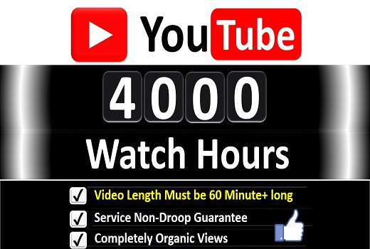 Get Organic 4000+ Hours Watch Time YouTube Video Views & 1000 Likes for Monetization Channel, Guaranteed Service .