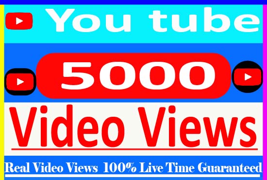 I Need Provide your 5000+ YouTube Video views Non Drop and 100% Non Drop Live Time Guaranteed