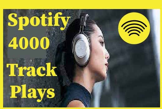 4000+ Spotify track plays, Non drop and 100% guaranteed