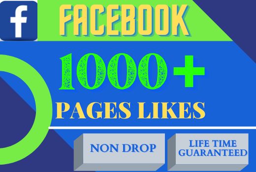 i will provide 1000+ Facebook pages likes. organic 100% real and life time guarantee.