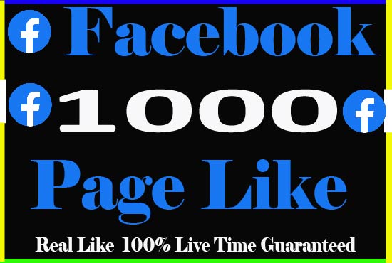 I will provide 1000+ facebook pages Like And Non Drop Live time Guaranteed