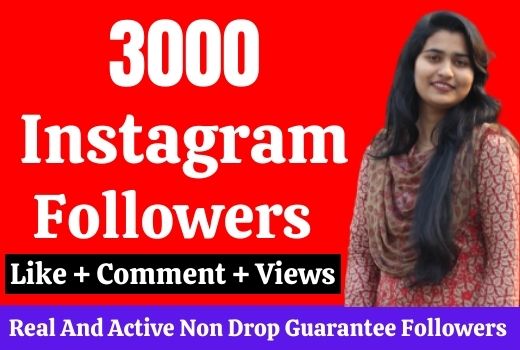 Get 3000 real Instagram followers, No Drop, Lifetime Guarantee