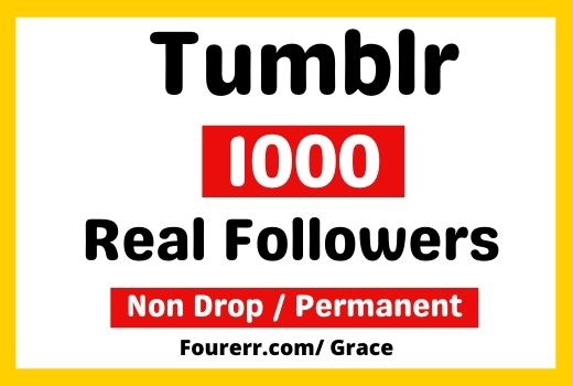Get Instant 1000+ Tumblr High-quality Followers, Non-drop, and Lifetime Permanent