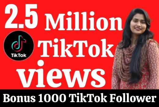 2.5 million TikTok views. Guarantee +1000 TikTok Followers