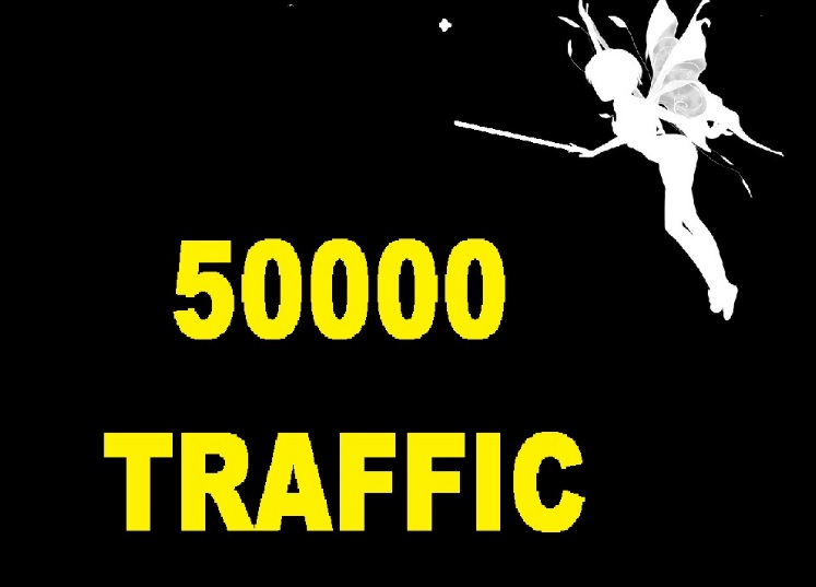 I Will Send 50000 Human Organic real Traffic visits hits with live analysis for $60