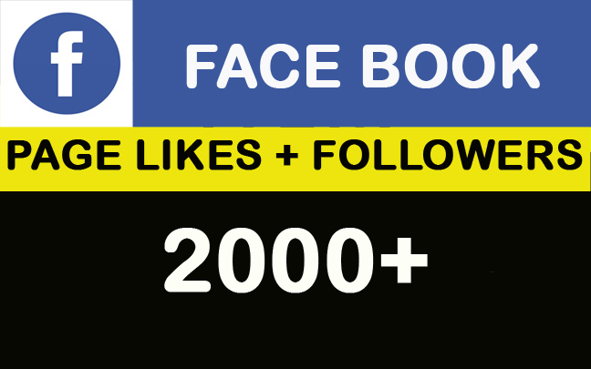 2000 Organic Facebook PAGE LIKES promotion