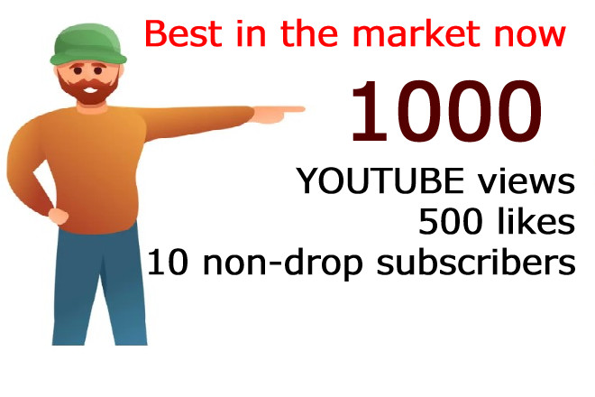 YouTube 1000 views with 500 thumbs up and 10 non-drop subscribers