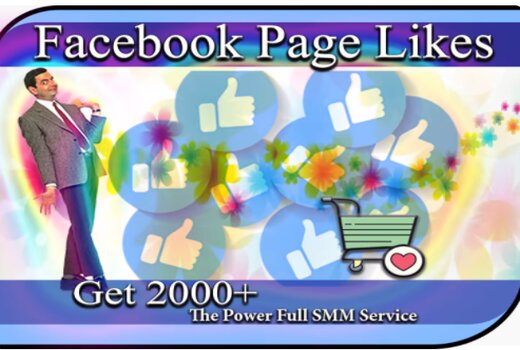 You will get 2000+ Facebook Fan Page Likes/Followers, Permanent Active users