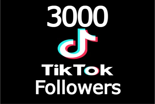 TikTOk 3000+ followers none drop instant start