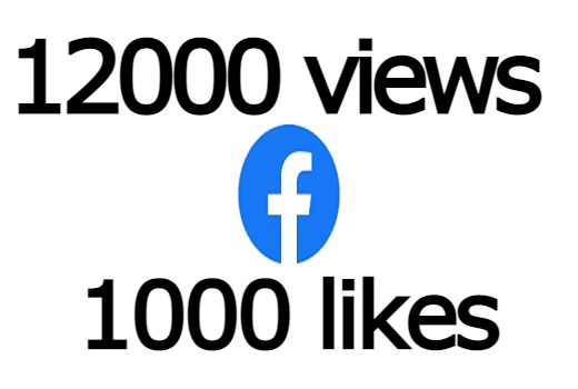 ADD you 12,000 views with 1000 post likes