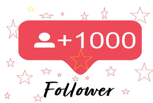 1000 real high quality Instagram followers(365days guaranteed) + 100 like guarantee (30 days)