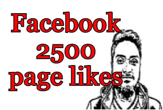 2500 Facebook page Likes+Followers high quality