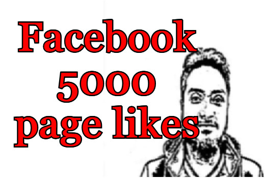 5000 Facebook real page likes guaranteed