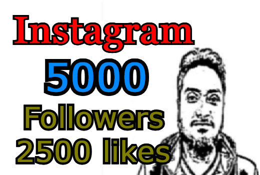5000 Instagram followers with 2500 post likes