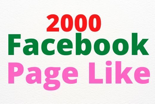 2000– Facebook Page Like || Only $9