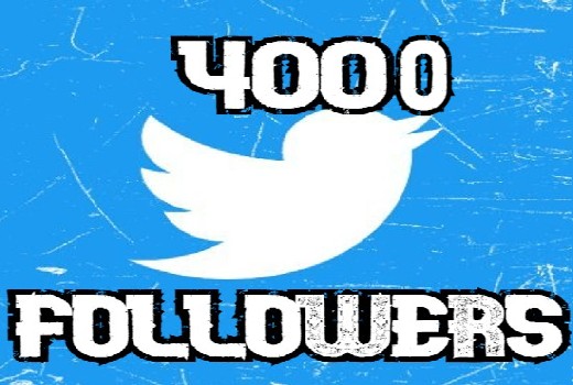 send you 4000 Twitter worldwide followers