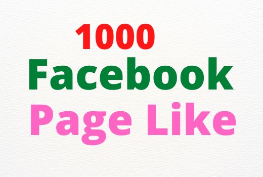 1000 Facebook Page Like || Non Drop || Only $5