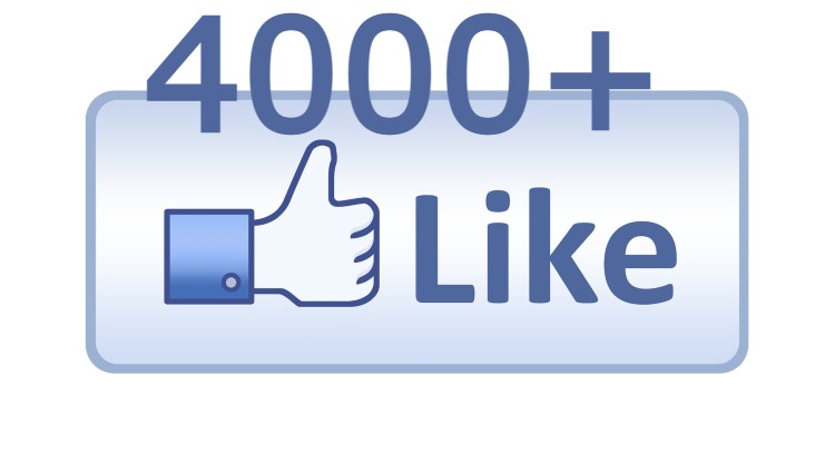 ADD you 4000+ Facebook page likes Lifetime Guarantee