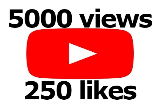 5000 YouTube real views with 250 likes