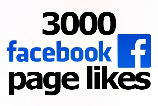 3000+ Facebook Page Likes + followers None Drop INSTANT IN 24 HOURS