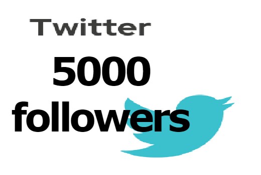 5000 Twitter real worldwide followers