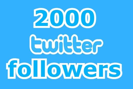 i will send you 2000+ twitter followers
