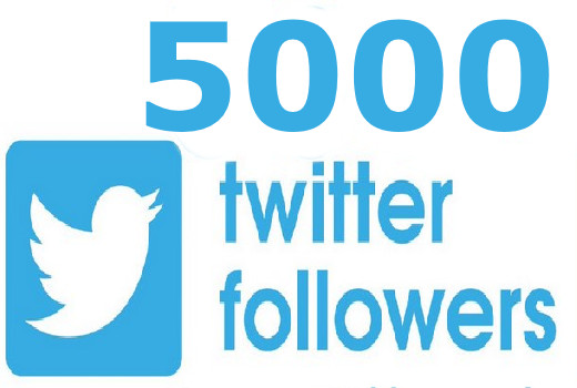 i will provide you 5000 twitter followers