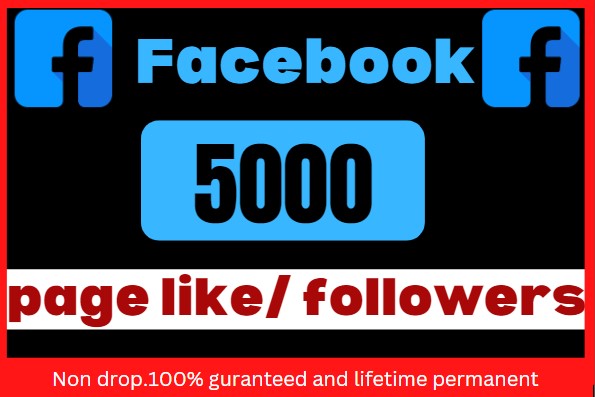 I will provide 5000+ Facebook likes/ followers, Non drop, 100% guaranteed and lifetime permanent