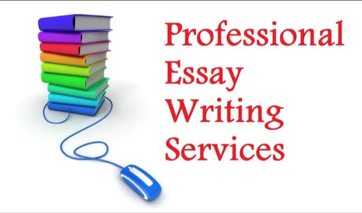 I will professionally write your legal documents and law essays