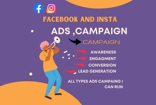 I will be your Facebook and instagram ads campaign manager