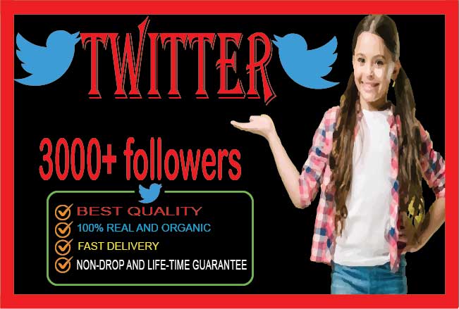 i will do twitter 3000 organic followers. non-drop real and life-time guaranteed