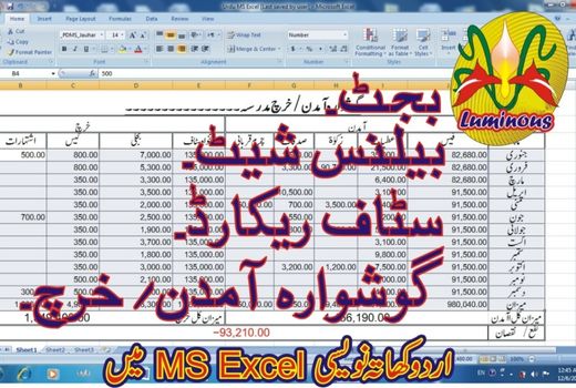 I will do your Urdu Accounting Work and prepare Statements for your Organization in Excel Formula, Worksheet